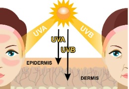 化妝品原料小百科:NAG與煙酰胺復(fù)配使用能改善色斑嗎?